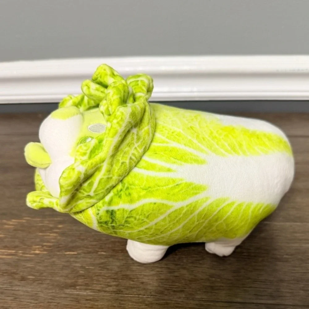 Cabbage Shiba Inu Dog 8